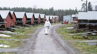 man i skyddsutrustning på pälsfarm.