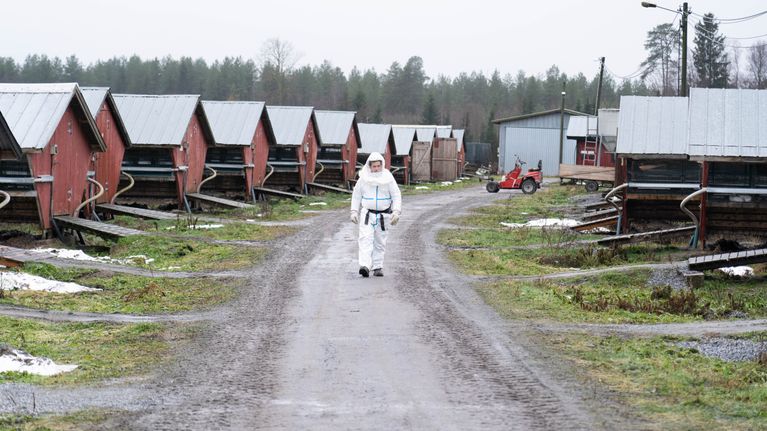 man i skyddsutrustning på pälsfarm.