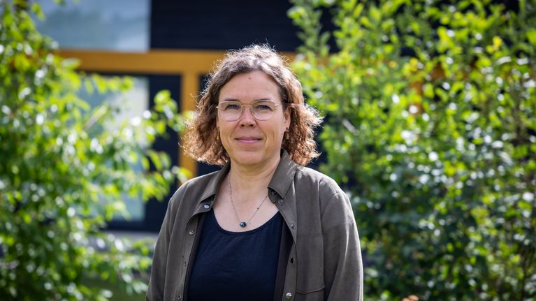 Skuldbromsen gör att Finland måste spara tre gånger mer än hittills ...