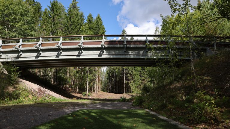 En bro i metall och betong sträcker sig över en grön yta med skog och blå himmel i bakgrunden.