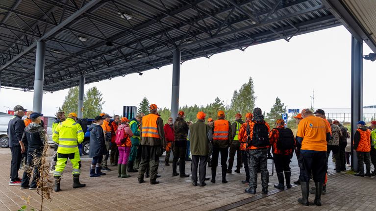 Joukko vapaaehtoisia valmistautumassa villisikojen etsintään.