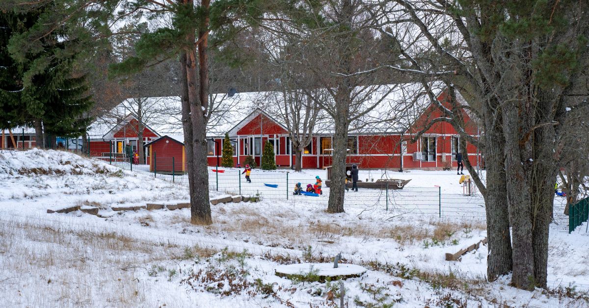 Bildningsdirektör: Fulla daghem i Raseborg beror inte på babyboom ...