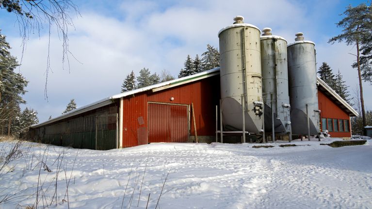 Punainen luomukanala lumisessa maisemassa. Taustalla näkyy metsää ja sininen taivas pilvineen.