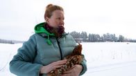 Kaisa Rautakannel pitelee kanaa sylissä talvella.