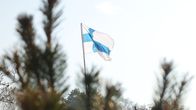 Blue and white Finnish flag on a flagpole, with trees in the foreground and background.