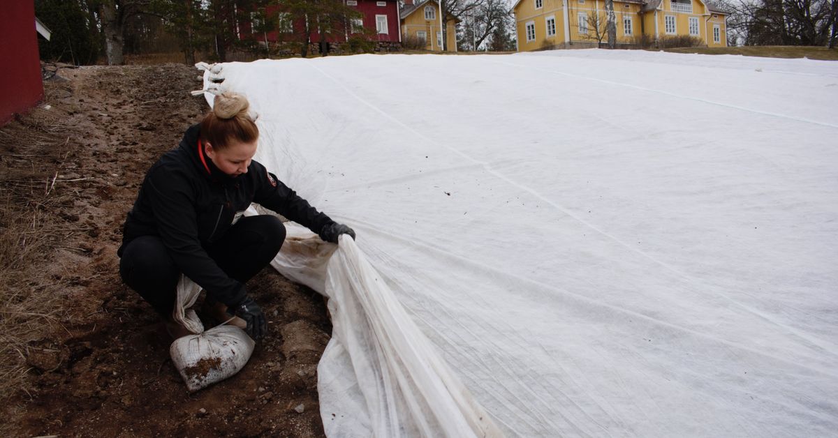 yle.fi