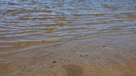 Strandkanten vid en lugn sjö, där små vågor försiktigt rör sig över sandbotten med småsten.