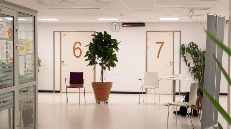 Ruoveden terveyskeskuksen odotusaula, jossa penkkejä ja viherkasveja.