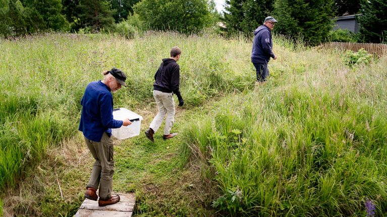 Tre personer går längs en stig i en ängsområde med en plastlåda. 