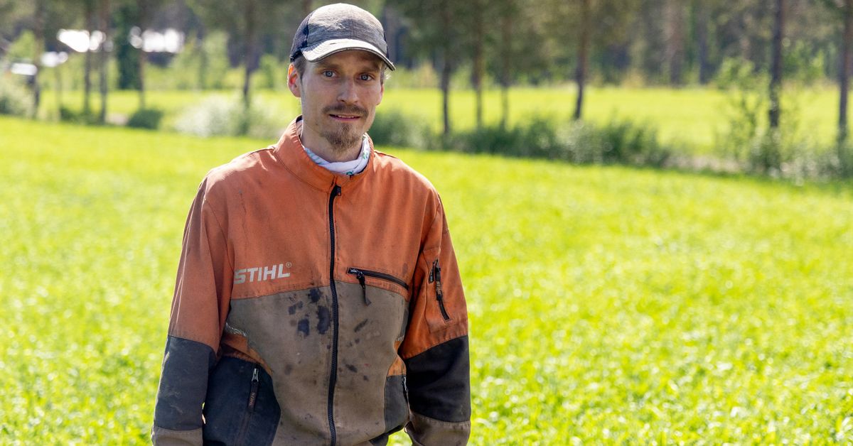 Markus Suutarin vanhemmat tekivät 20 vuotta sitten ison valinnan – nuori viljelijä nauttii nyt tuloksista