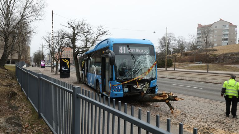 Bussi ajautui puuta päin Helsingin Mannerheimin­tiellä – yksi ...