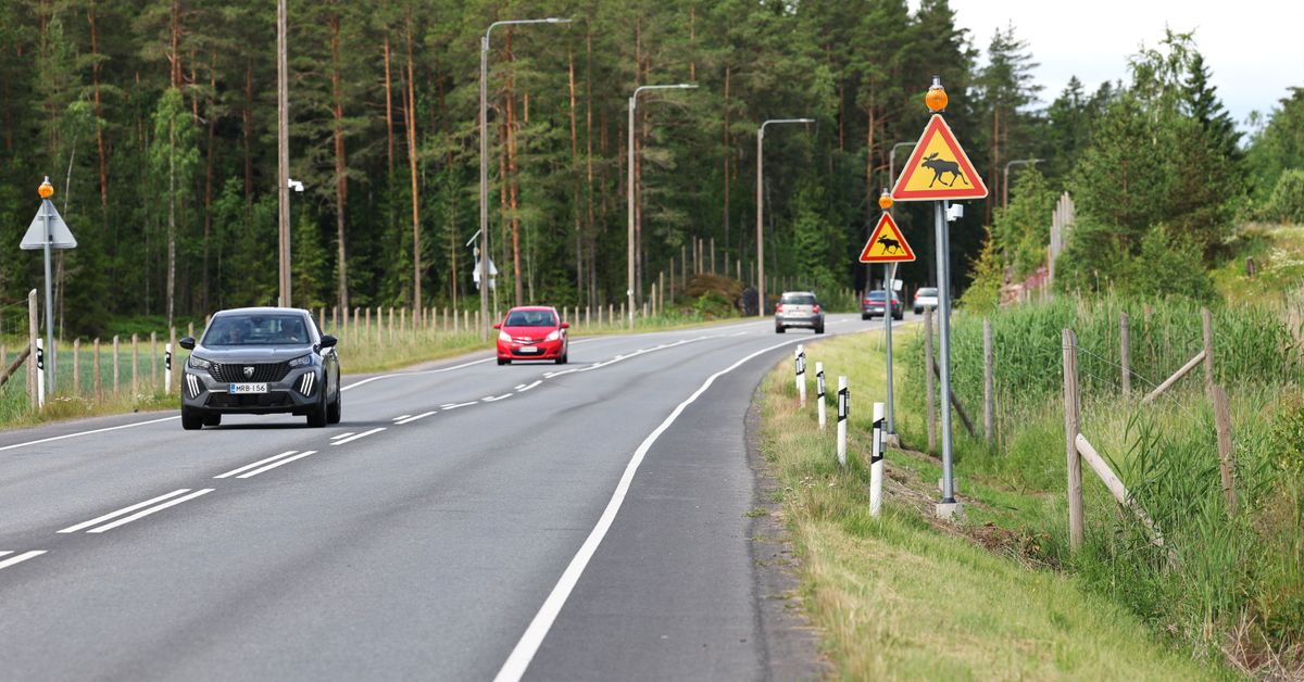 Finland creates 'pedestrian crossings' for elk and deer