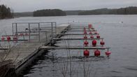 Epäilty ympäristörikos Ylöjärven Kurunlahdella.