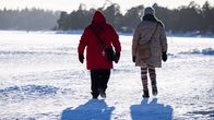 Ystävykset kävelyllä meren jäällä.