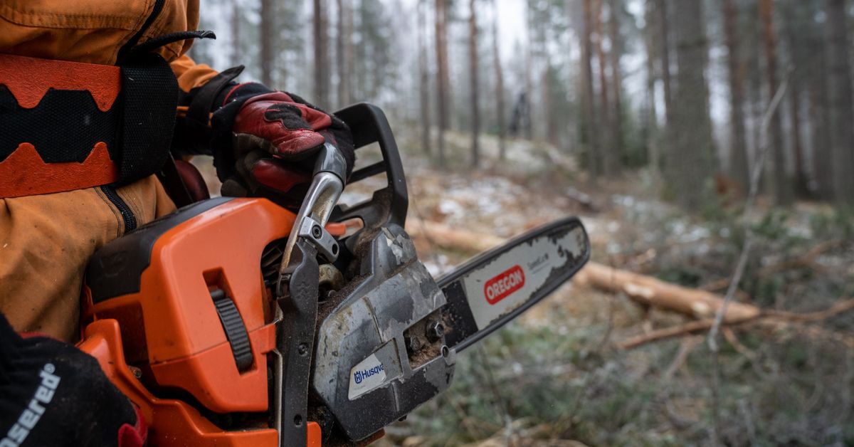 Report: Finland's forestry sector faces severe labour shortage, needs foreign workers