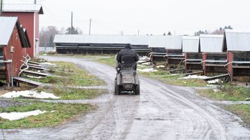 pälsfarm