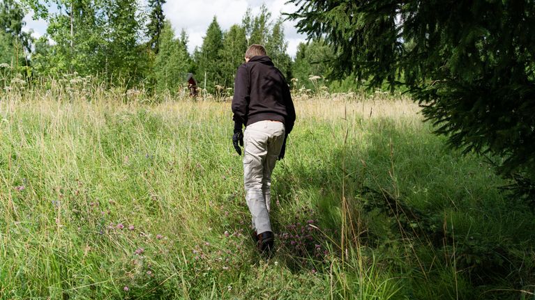 En person går längs en stig i en ängslandskap på sommaren.