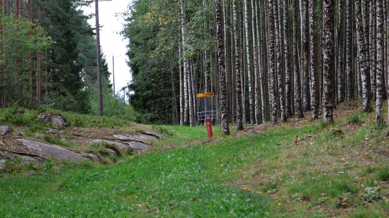 En discgolfkorg står vid en stig omgiven av björkträd och grönska, kraftledningsstolpar syns till vänster.