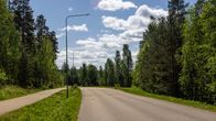 Kouvolan Valkealan Harakkalammentie, jossa karhu ylitti todistettavasti tien.