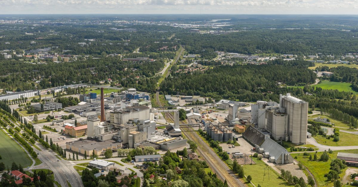 Raisio Oy ostaa härkäpaputuotteista tunnetun Verso Food Oy:n | Yle