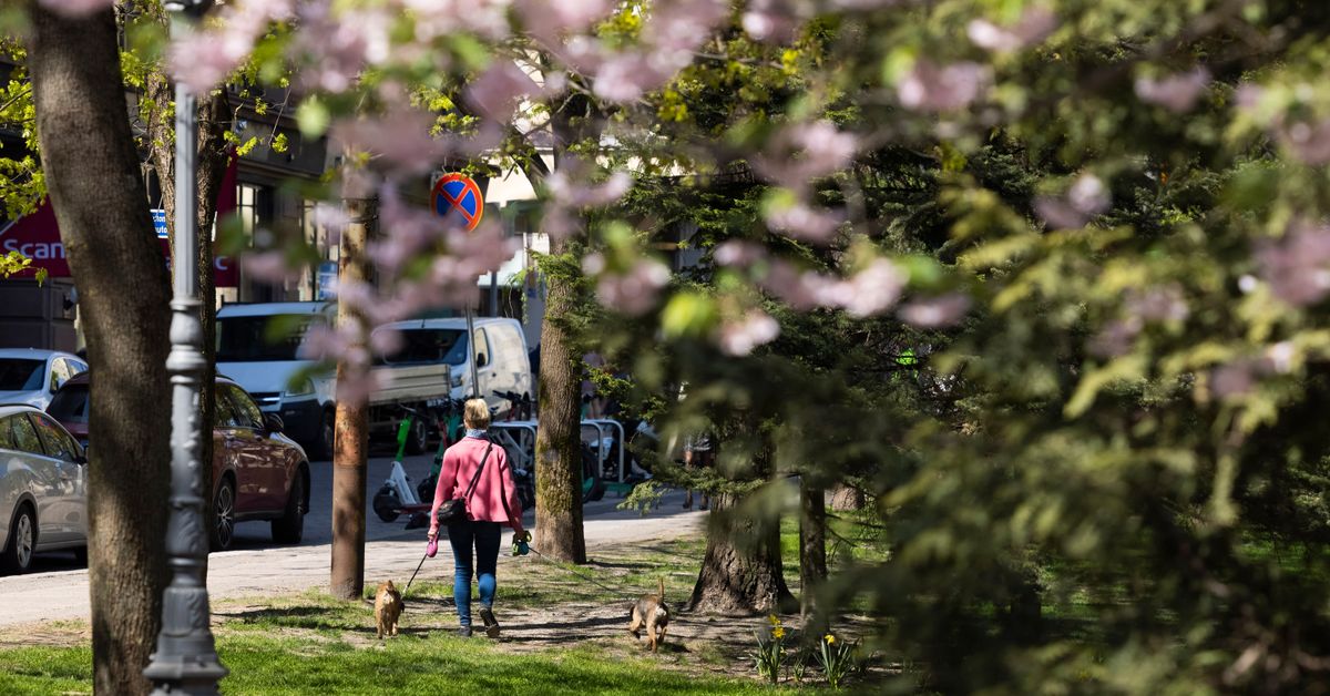 yle.fi