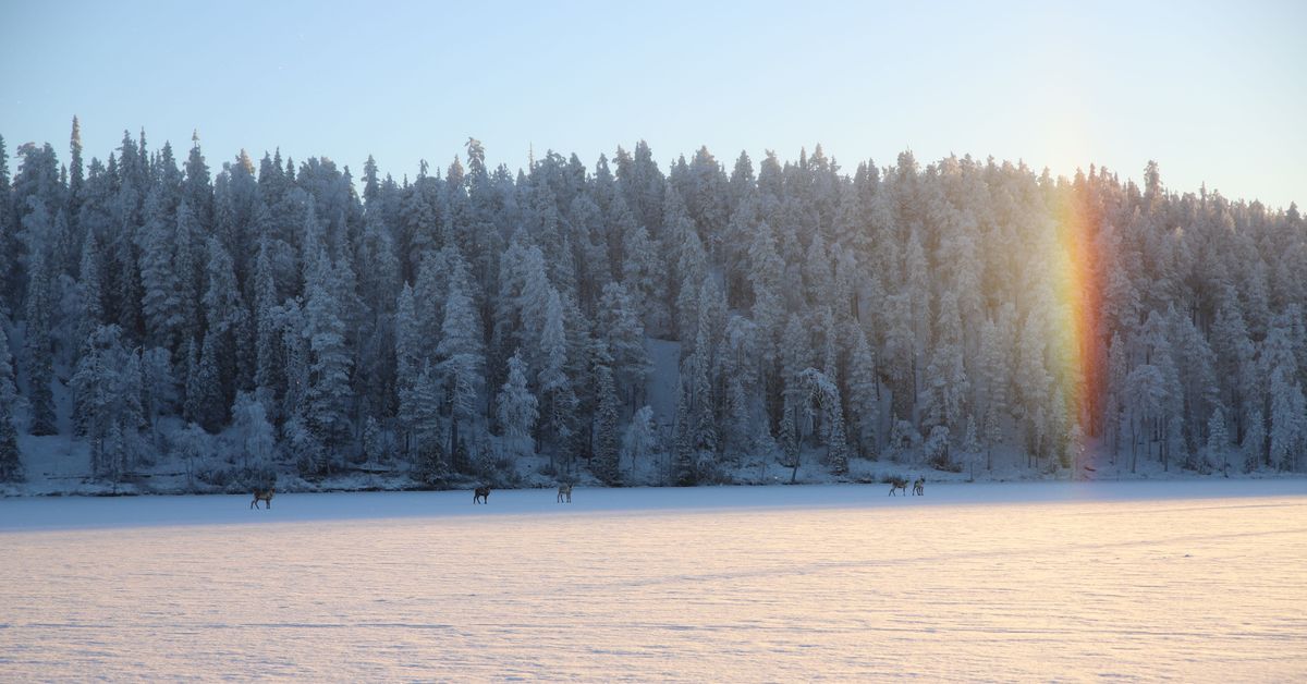 FMI warns of dangerous frosts