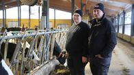 Maatalousyrittäjät seisovat navetassa lehmien vieressä.