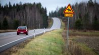 Hirvivaarasta kertova liikennemerkki maantien reunalla, taustalla loittonee henkilöauto