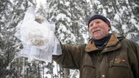 Mies pitää suden tekemiä ulosteita kädessään.