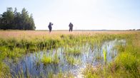 rummelönissä harbodan luona vesistö