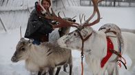 Jaakkolan porotilan yrittäjä Anu Magga