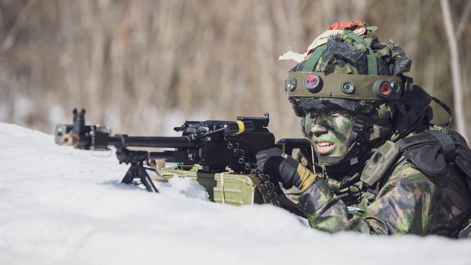 Tynantajat ovat jrjestneet tuhansille armeijan kyneille vapautuksen  taisteluista, jos Suomessa syttyisi sota  pyyntjen mr kasvussa | Yle