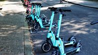 Elsparkcyklar på rad vid Östra Strandgatan i Åbo. 