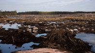 Tulevan Kotkan akkumateriaalitehtaan tontin työmaa Keltakalliolla Kotkassa.