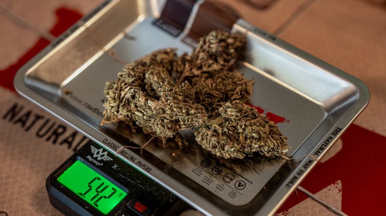 CBD-kukka vaakalla.