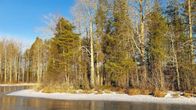 Lumista saariluontoa Nilsiän Syväri-järvellä.