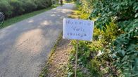 A bike path surrounded by greenery with a hand-written sign saying "Attention: baby crows".