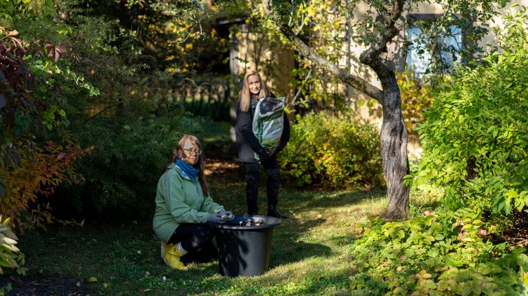 sari-weckstr-m-kehtaa-puhua-puutarhureiden-uskomuksesta-josta-moni