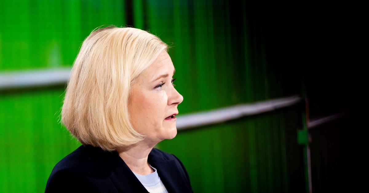 Rantanen: Finland planning border 'drone wall' with Baltics, Poland and ...