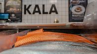 Kalatiskillä on tarjolla erilaisia kalatuotteita, kuten lohta ja muita tuoreita mereneläviä.