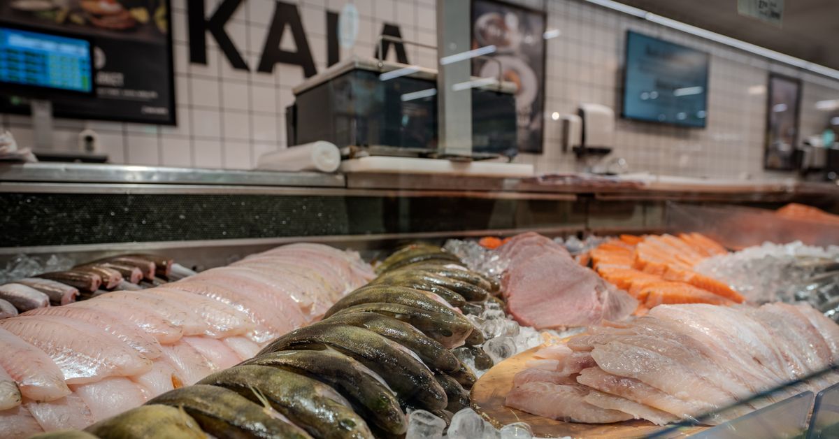 Äldsta fisken var tio dagar gammal när Yle kollade fiskdisken: ”Låt bli ...