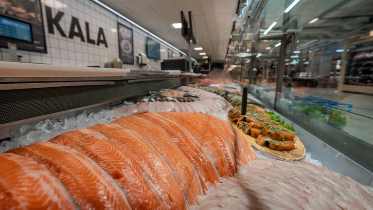Kalatiskillä on tarjolla erilaisia kalatuotteita, kuten lohta ja muita tuoreita mereneläviä.