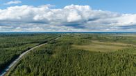 Pitkä tie kulkee metsän halki kohti horisonttia. Taustalla näkyy laaja metsäalue ja pilvinen taivas.