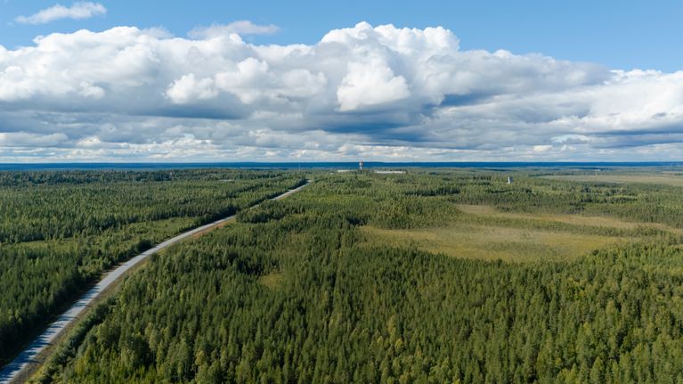Pitkä tie kulkee metsän halki kohti horisonttia. Taustalla näkyy laaja metsäalue ja pilvinen taivas.