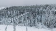 Sähkölinja ja taustalla metsää.