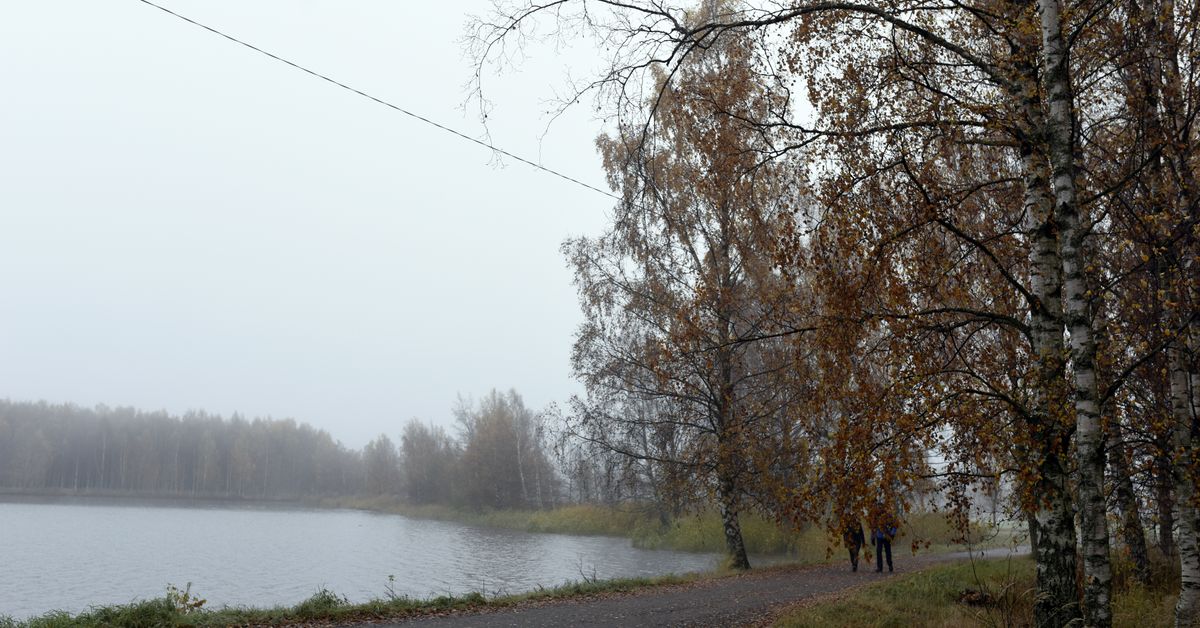 Knivhuggningen vid Metviken: 15-åringen åtalas för dråpförsök ...