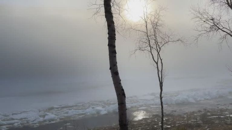 Sumuinen aamu Tenojoella.