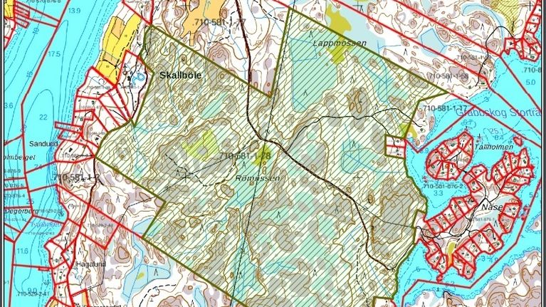 Störst i Nyland: 250 hektar skog fredades i Raseborg | Västnyland ...