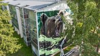 Rakennuksen päätyseinään on maalattu suuri karhun pää, ja seinän juurella näkyy nostolava puiden keskellä.
