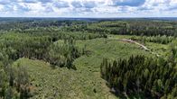 Kesäinen ilmakuva suomalaisesta metsämaisemasta, jossa on sekaisin lehtipuita ja havupuita. Etualalla hakkuuaukea.
